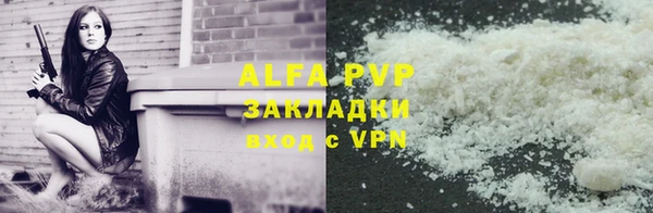 ECSTASY Елизово