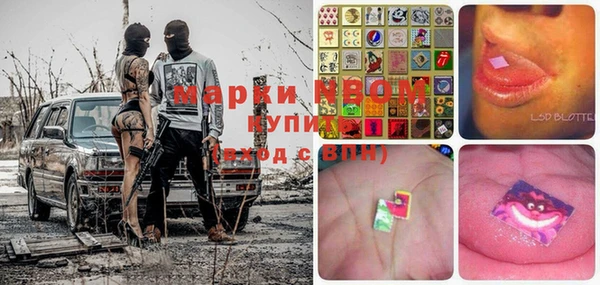 крисы Краснослободск