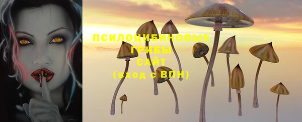 герыч Краснотурьинск