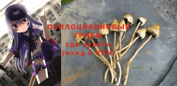 ешки Красноперекопск