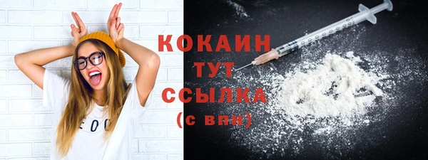 крисы Краснослободск