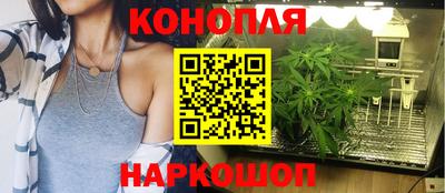 ПСИЛОЦИБИНОВЫЕ ГРИБЫ Аргун