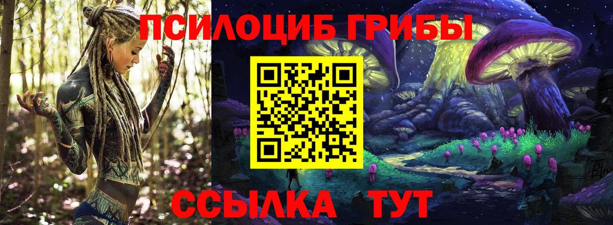 Псилоцибиновые грибы GOLDEN TEACHER  Псилоцибиновые грибы мицелий  Березники 